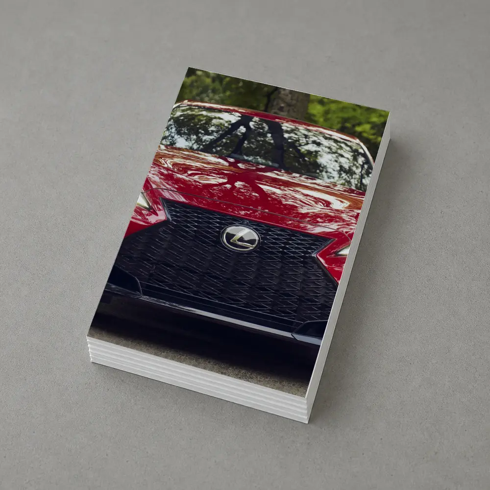 Lexus IS Front View Forest Background – Postcards