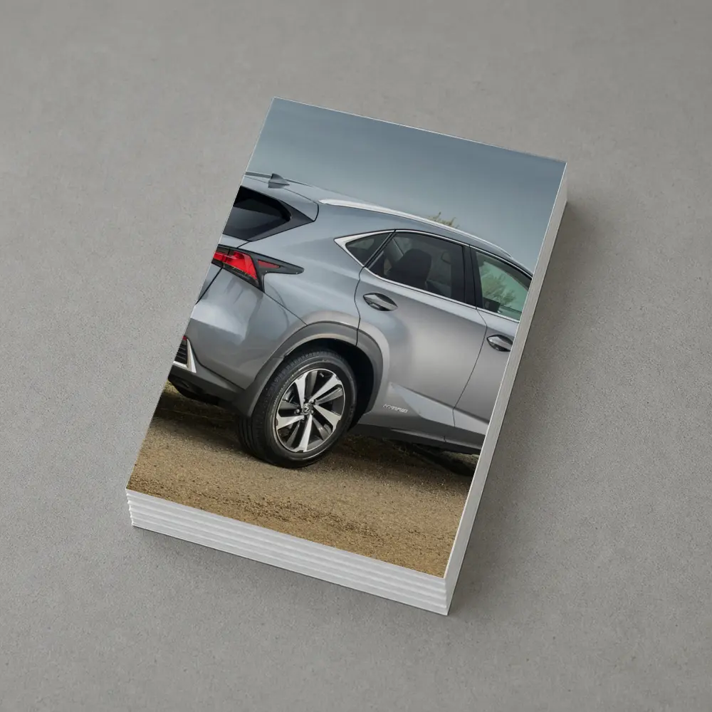 Lexus NX Hybrid Silver SUV Coastal Setting – Postcards