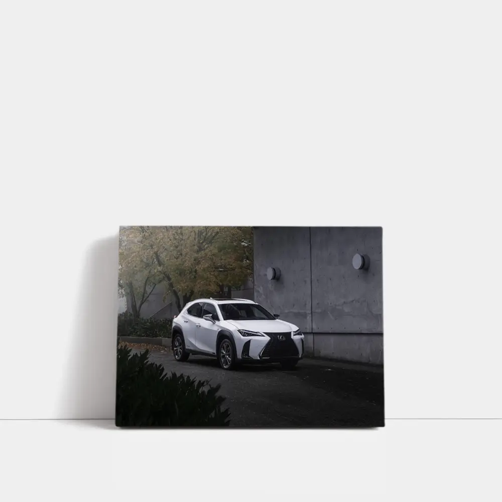 Lexus UX White SUV Urban Concrete Setting – Wall Art