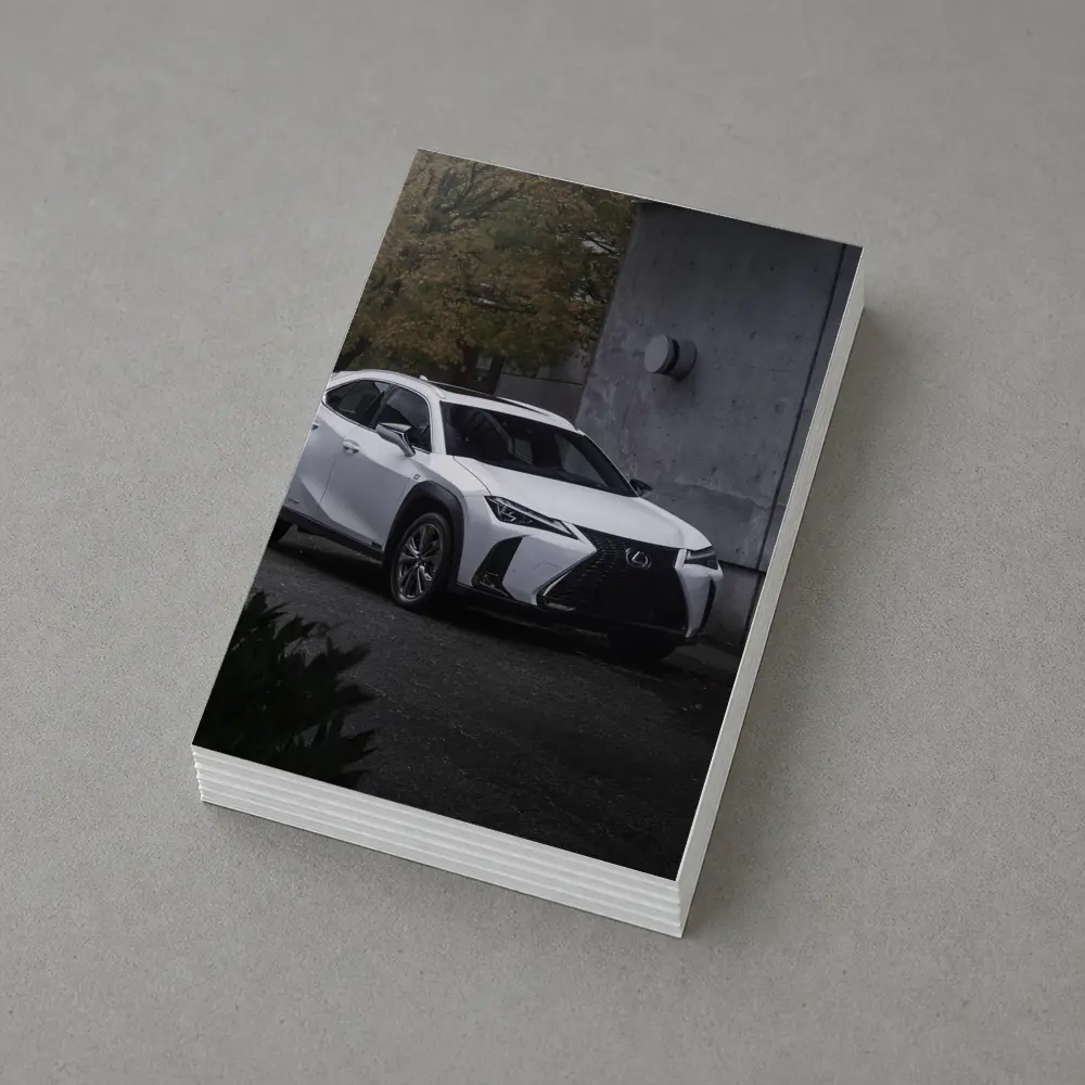 Lexus UX White SUV Urban Concrete Setting – Postcards