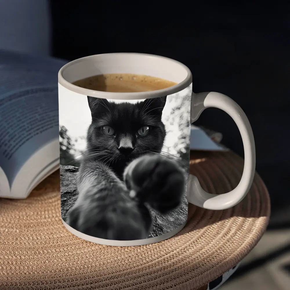 Black Cat Reaching Paw Toward Camera Outdoors – Mugs