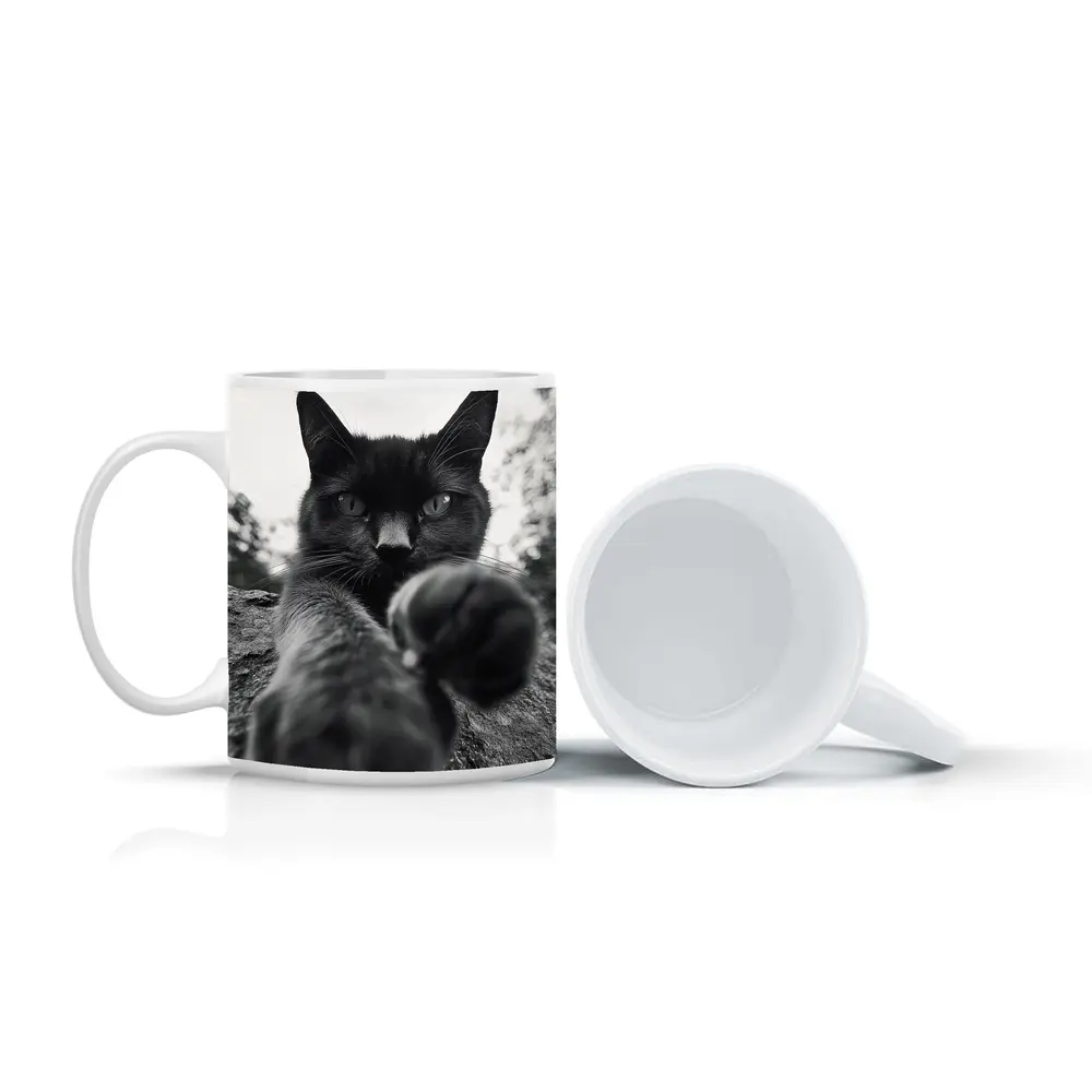 Black Cat Reaching Paw Toward Camera Outdoors – Mugs