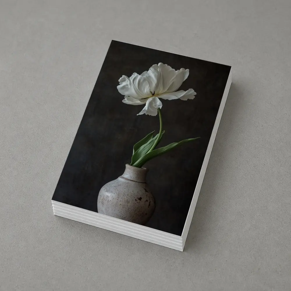 White Tulip In Rustic Ceramic Vase Dark – Postcards