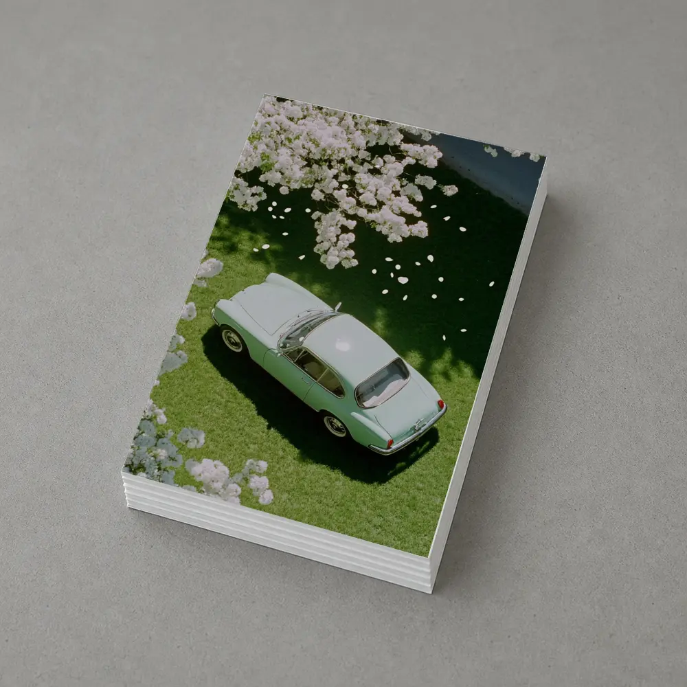 Mint Classic Car Parked Under Blooming Trees – Postcards
