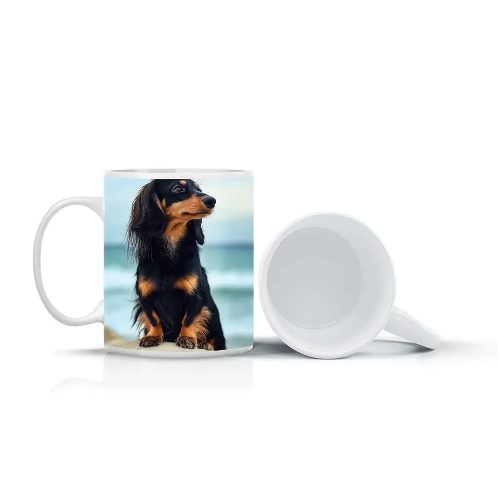 Long Haired Dachshund Sitting By Ocean – Mugs
