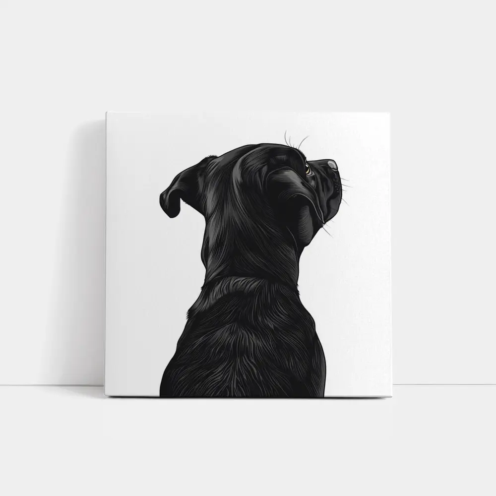 Black Labrador Dog Looking Up White Background – Wall Art