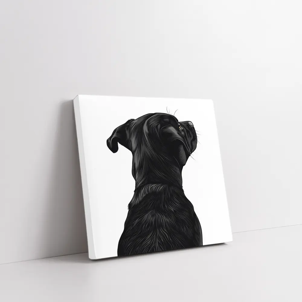 Black Labrador Dog Looking Up White Background – Wall Art
