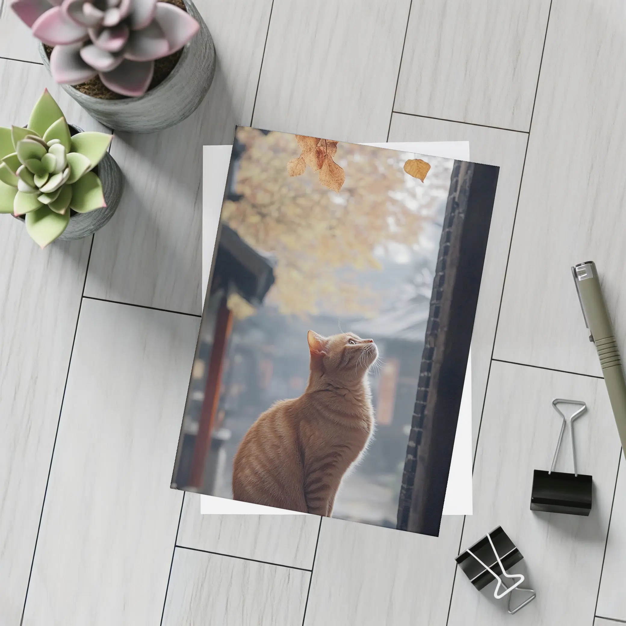 Orange Cat Watching Autumn Leaves Fall – Postcards