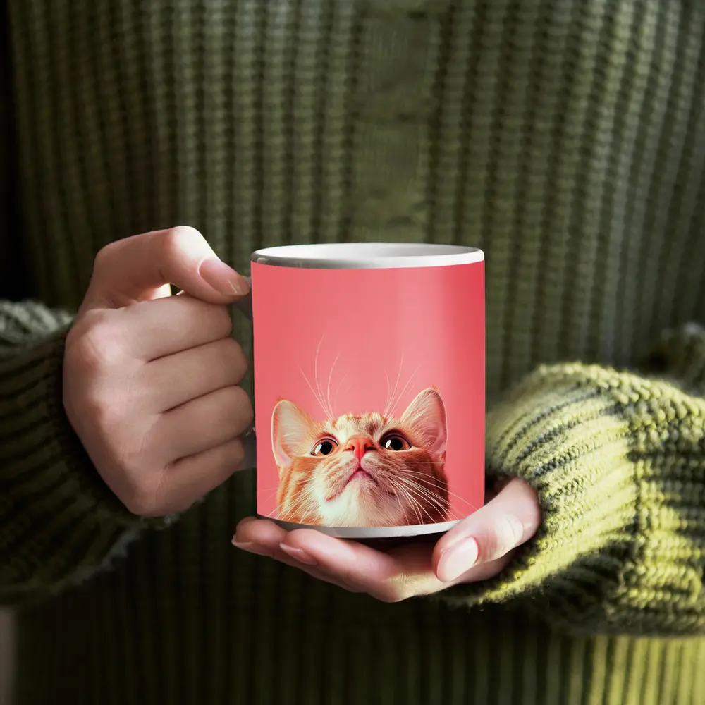Ginger Tabby Cat Looking Up Pink Background – Mugs