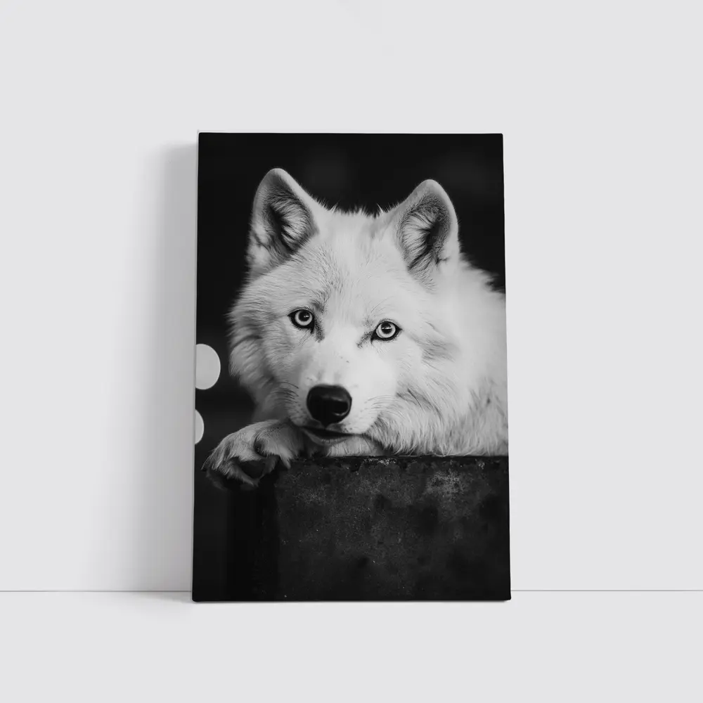 White Wolf Close Up Black White Portrait – Wall Art
