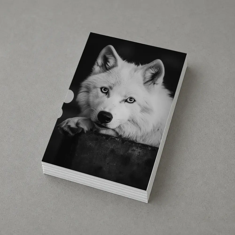 White Wolf Close Up Black White Portrait – Postcards