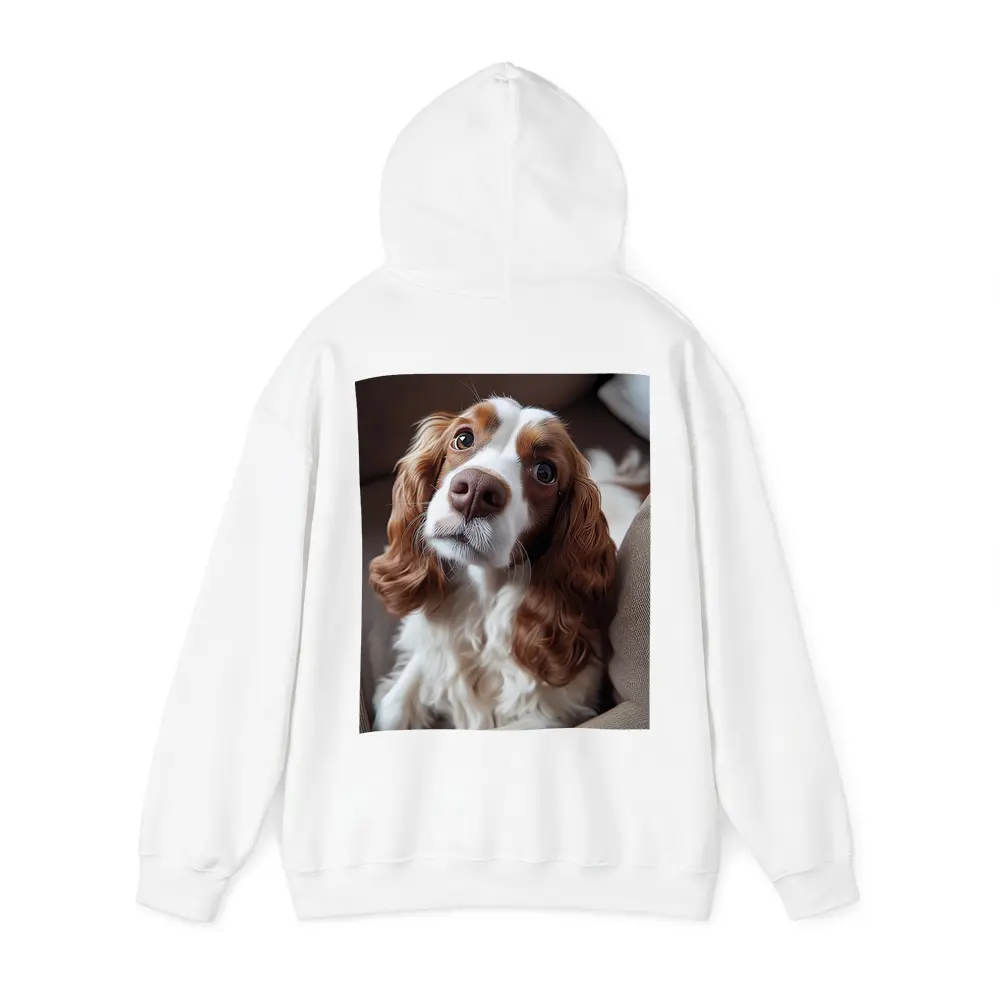 Cavalier King Charles Spaniel On Cozy Sofa – Hoodies