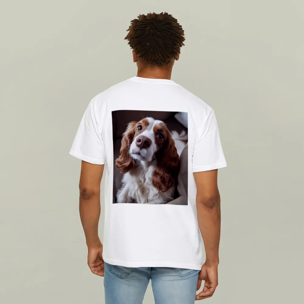Cavalier King Charles Spaniel On Cozy Sofa – T-Shirts