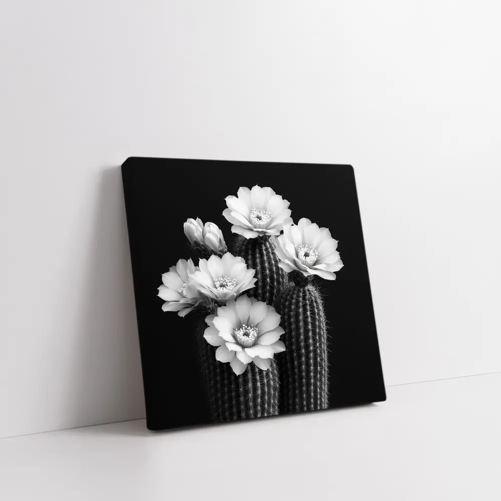 Black And White Cactus Flowers Dark Background – Wall Art