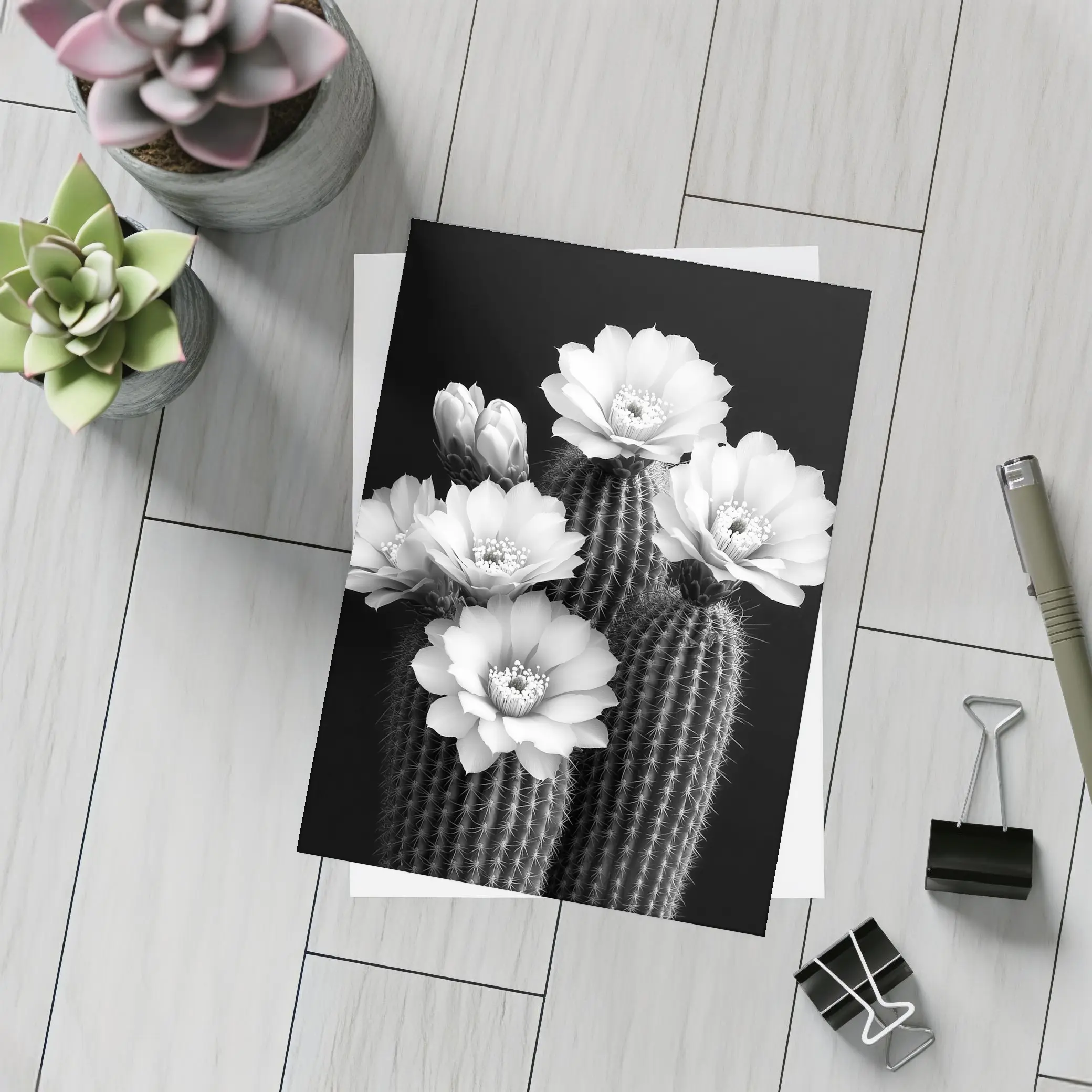 Black And White Cactus Flowers Dark Background – Postcards