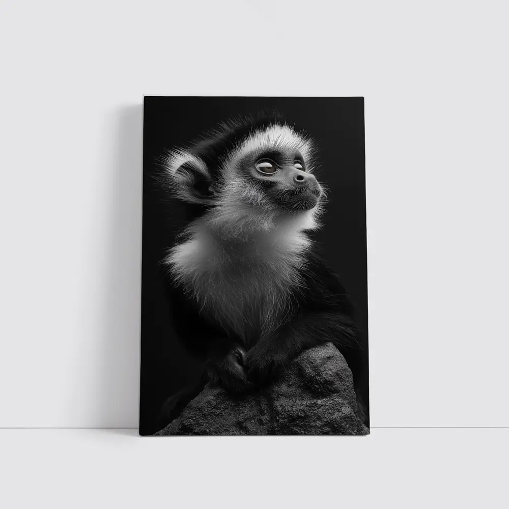 Black and White Monkey Portrait Dark Background – Wall Art