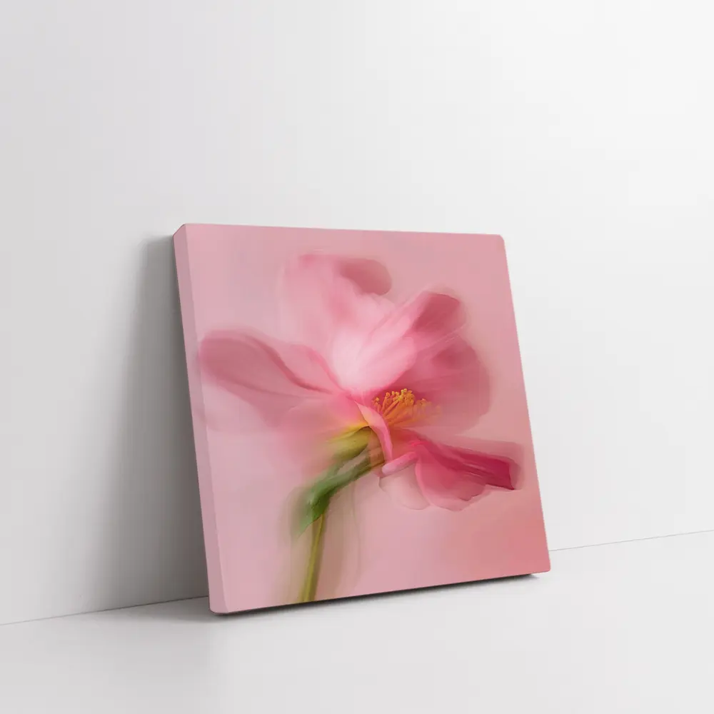 Pink Cosmos Flower Soft Blur Art – Wall Art