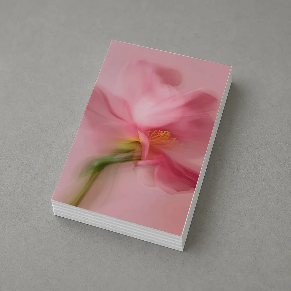Pink Cosmos Flower Soft Blur Art – Postcards
