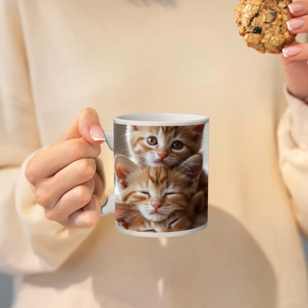 Two Orange Tabby Kittens Cuddling Together – Mugs