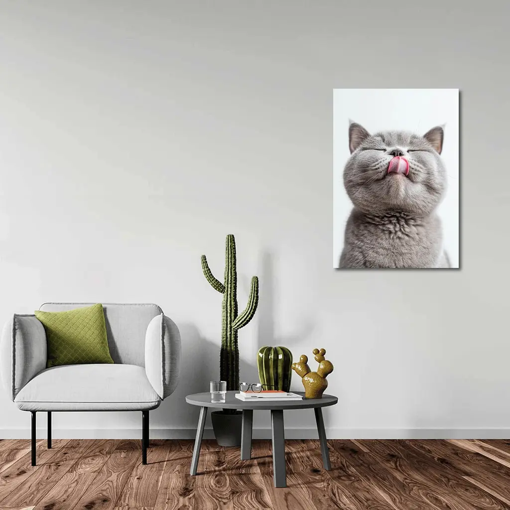 Gray British Shorthair Cat Licking Lips – Wall Art