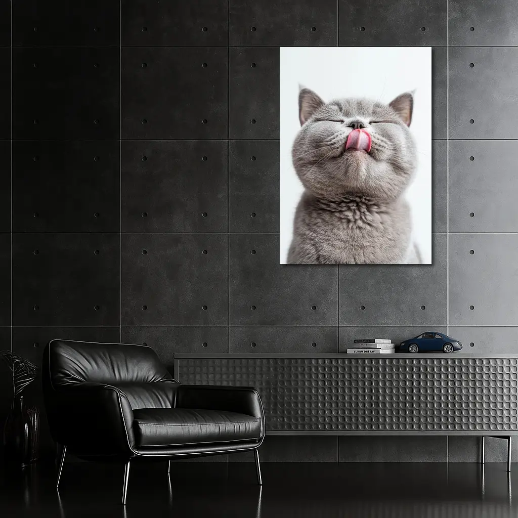 Gray British Shorthair Cat Licking Lips – Wall Art