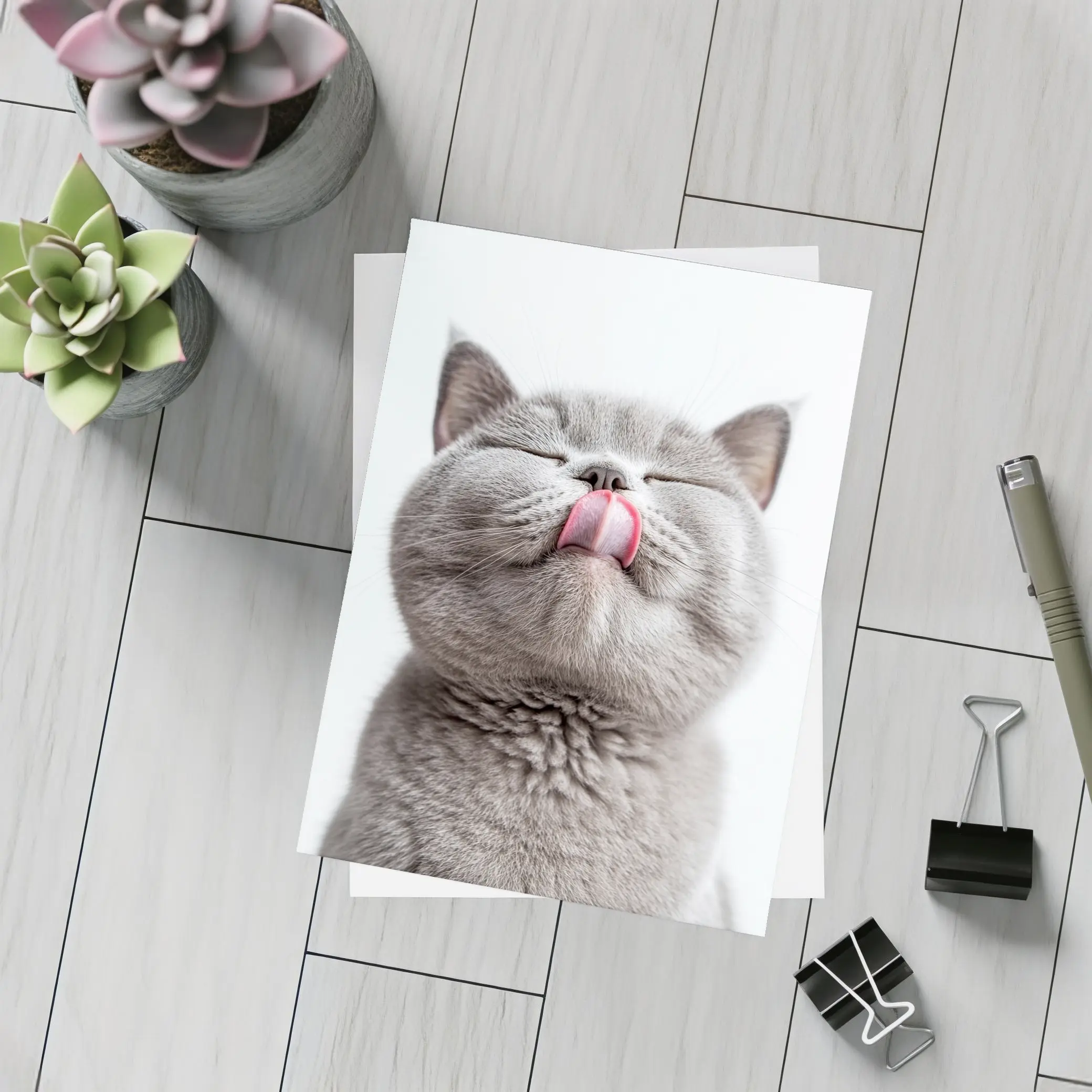 Gray British Shorthair Cat Licking Lips – Postcards