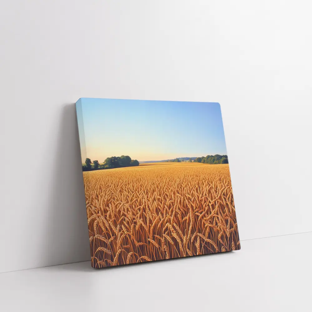 Golden Wheat Field Clear Summer Sky – Wall Art