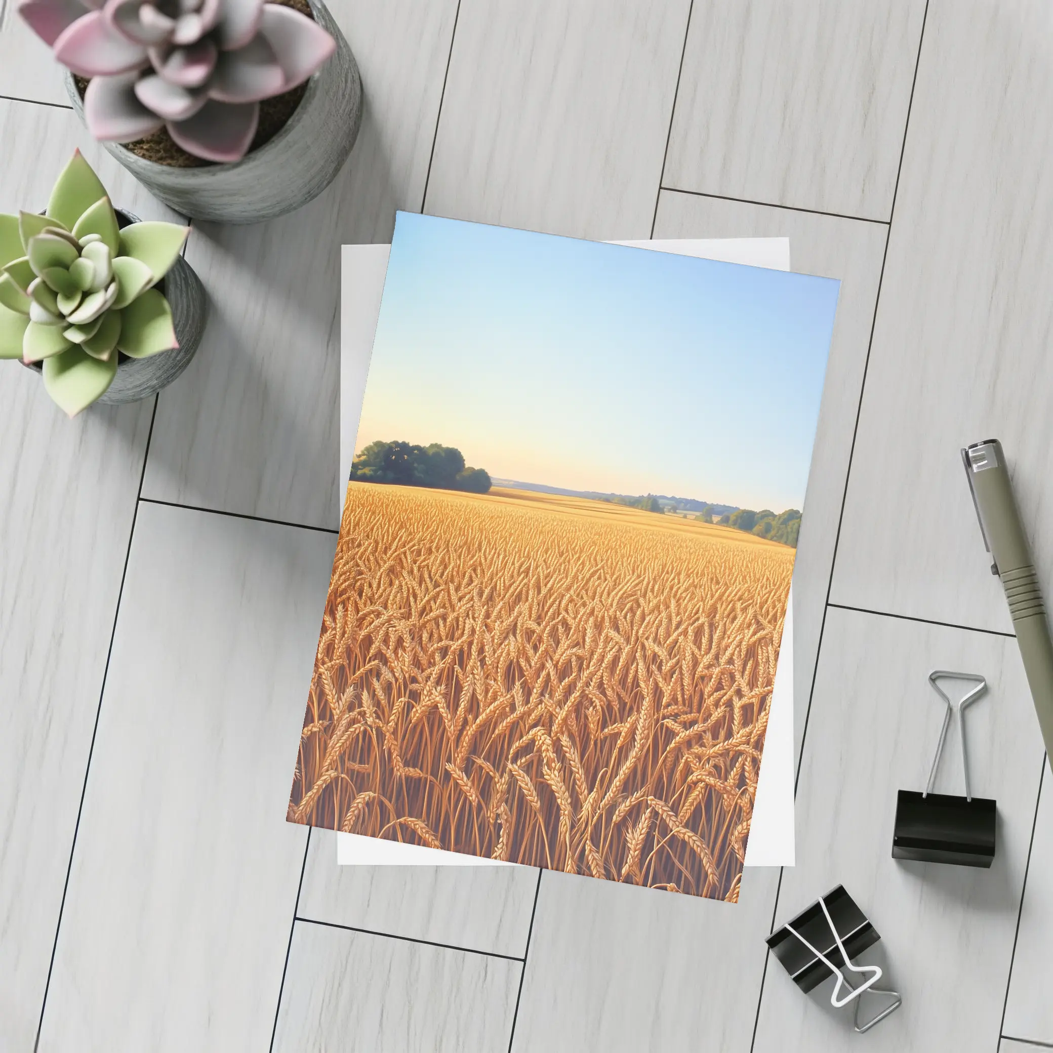 Golden Wheat Field Clear Summer Sky – Postcards