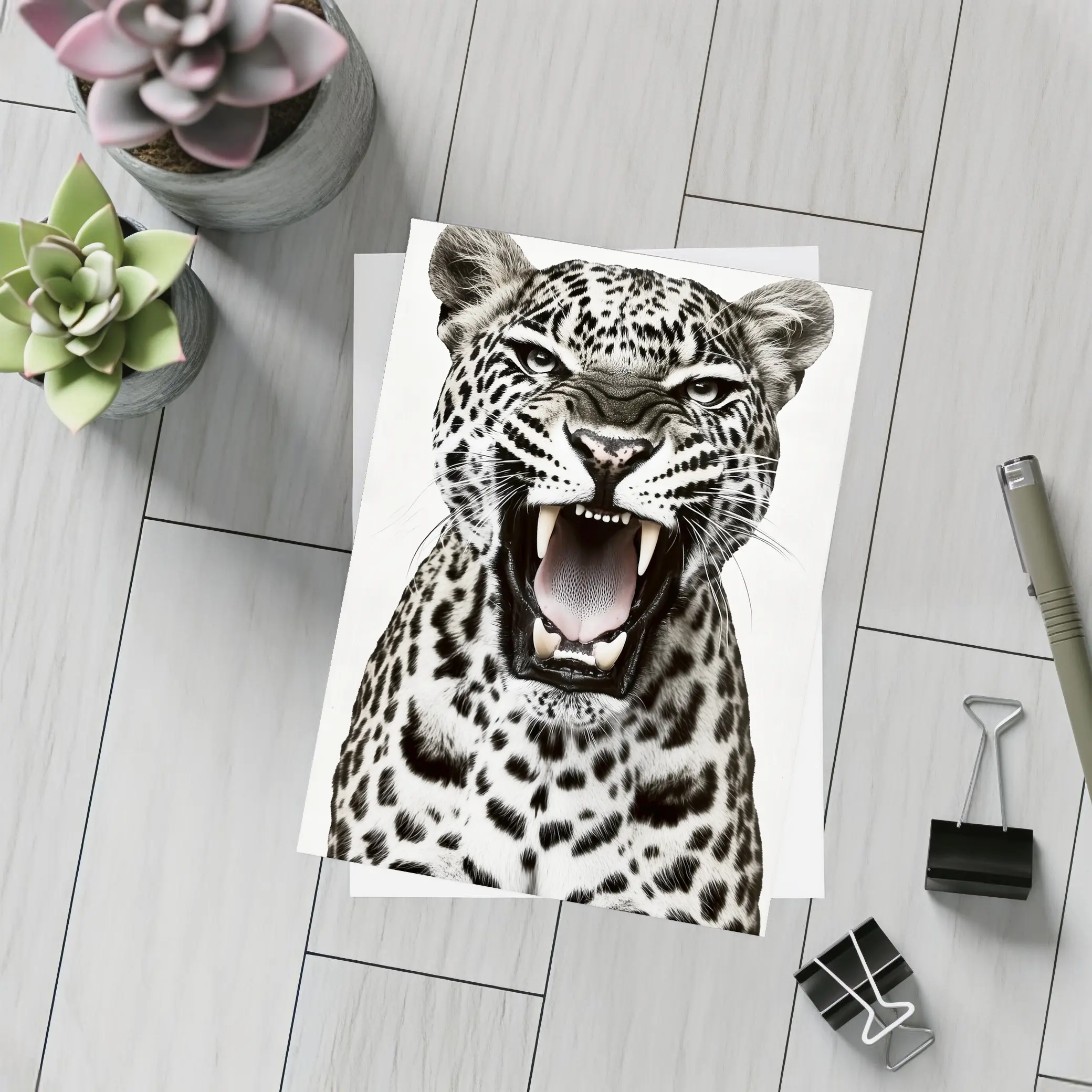 Roaring Leopard Close Up White Background – Postcards