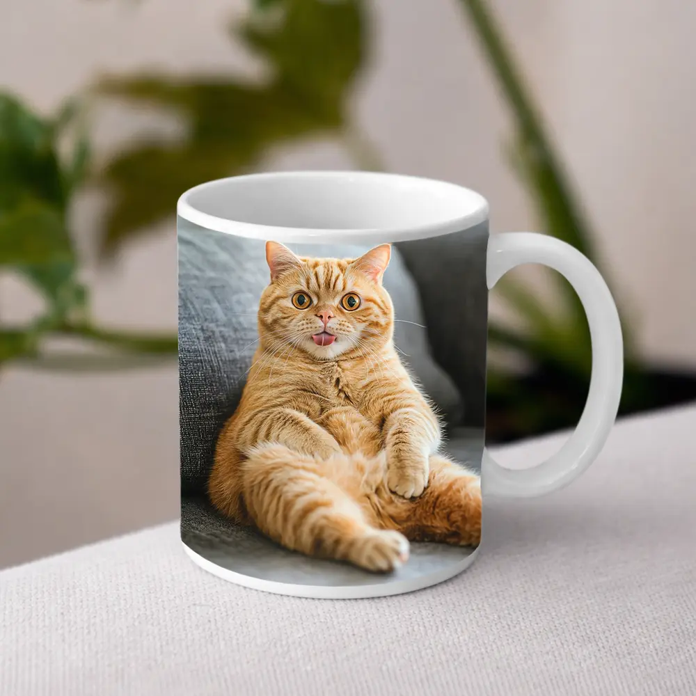 Funny Orange Tabby Cat on Gray Sofa – Mugs