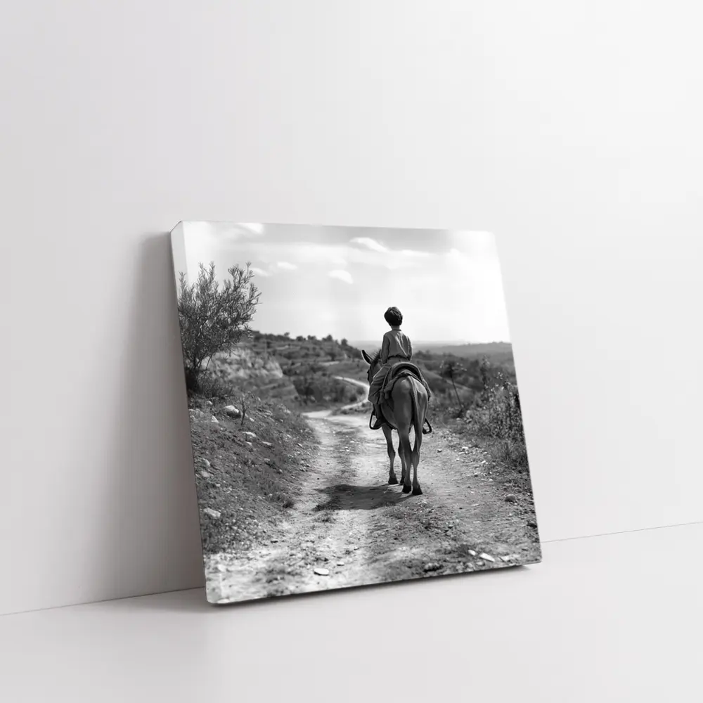 Boy Riding Donkey On Rural Path – Wall Art