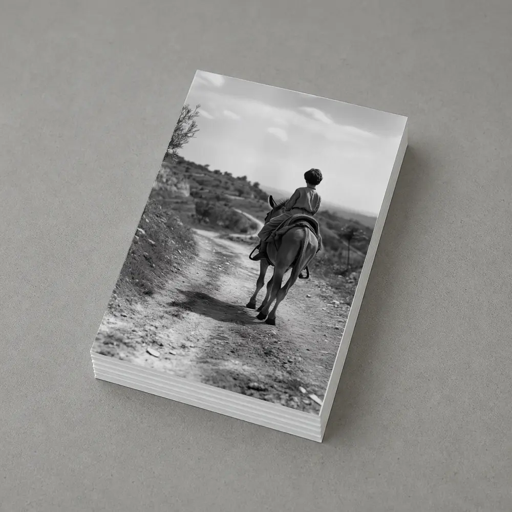 Boy Riding Donkey On Rural Path – Postcards