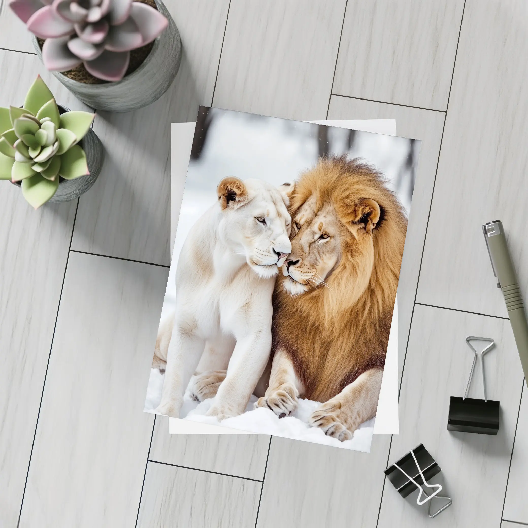 White Lioness and Lion in Snow – Postcards