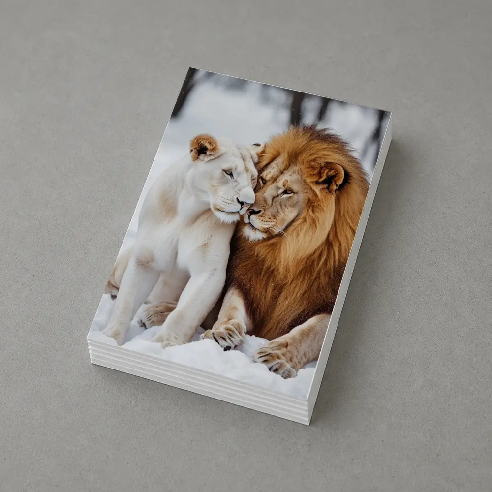 White Lioness and Lion in Snow – Postcards