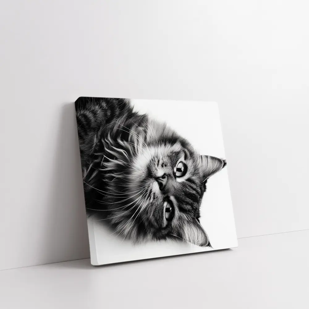 Maine Coon Cat Black and White Portrait – Wall Art