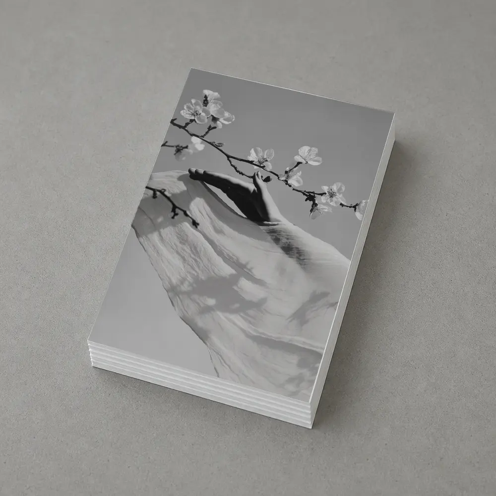 Hand Reaching Cherry Blossom Branch Black White – Postcards