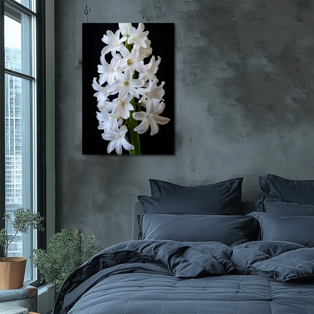 White Hyacinth Flower Black Background – Wall Art