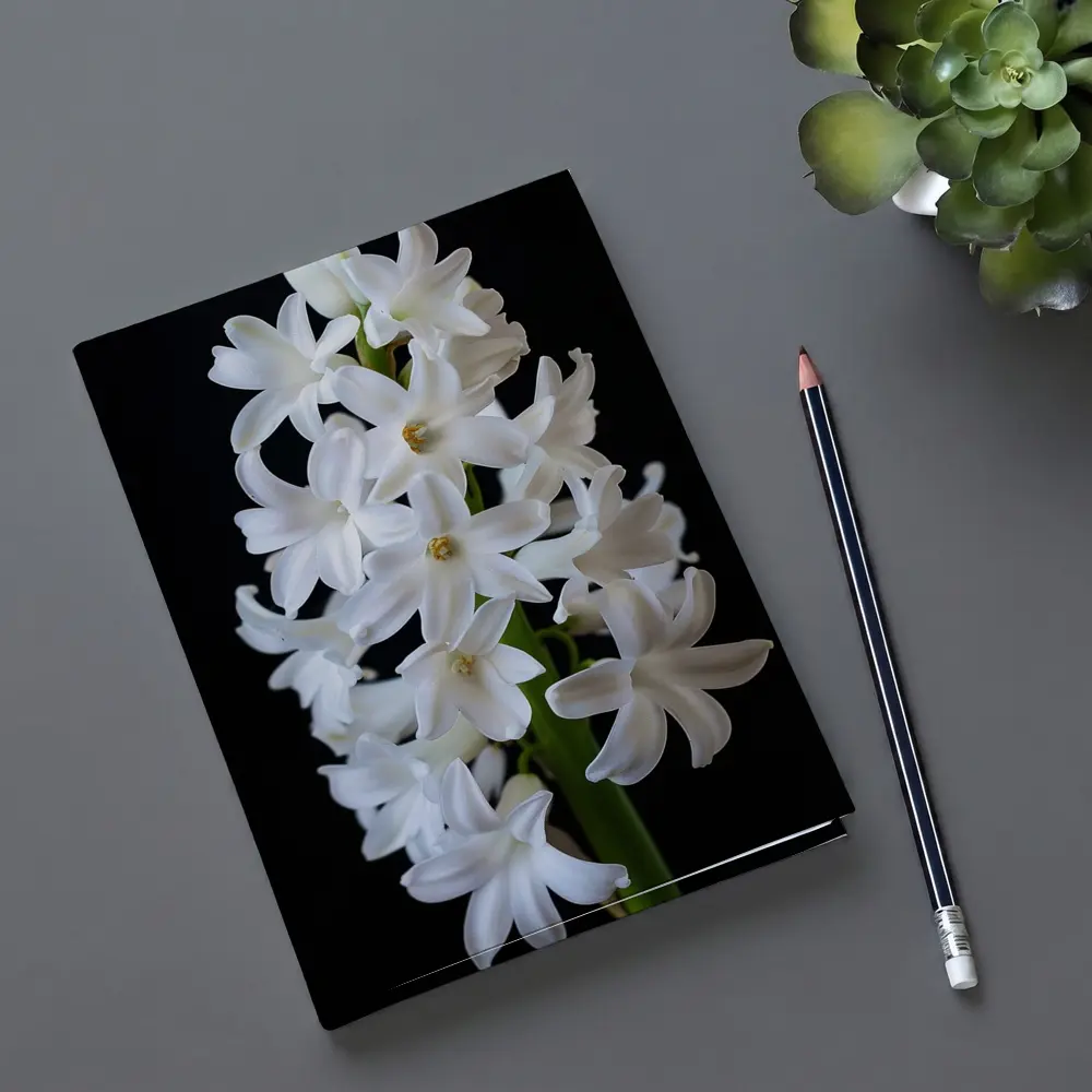 White Hyacinth Flower Black Background – Notebooks