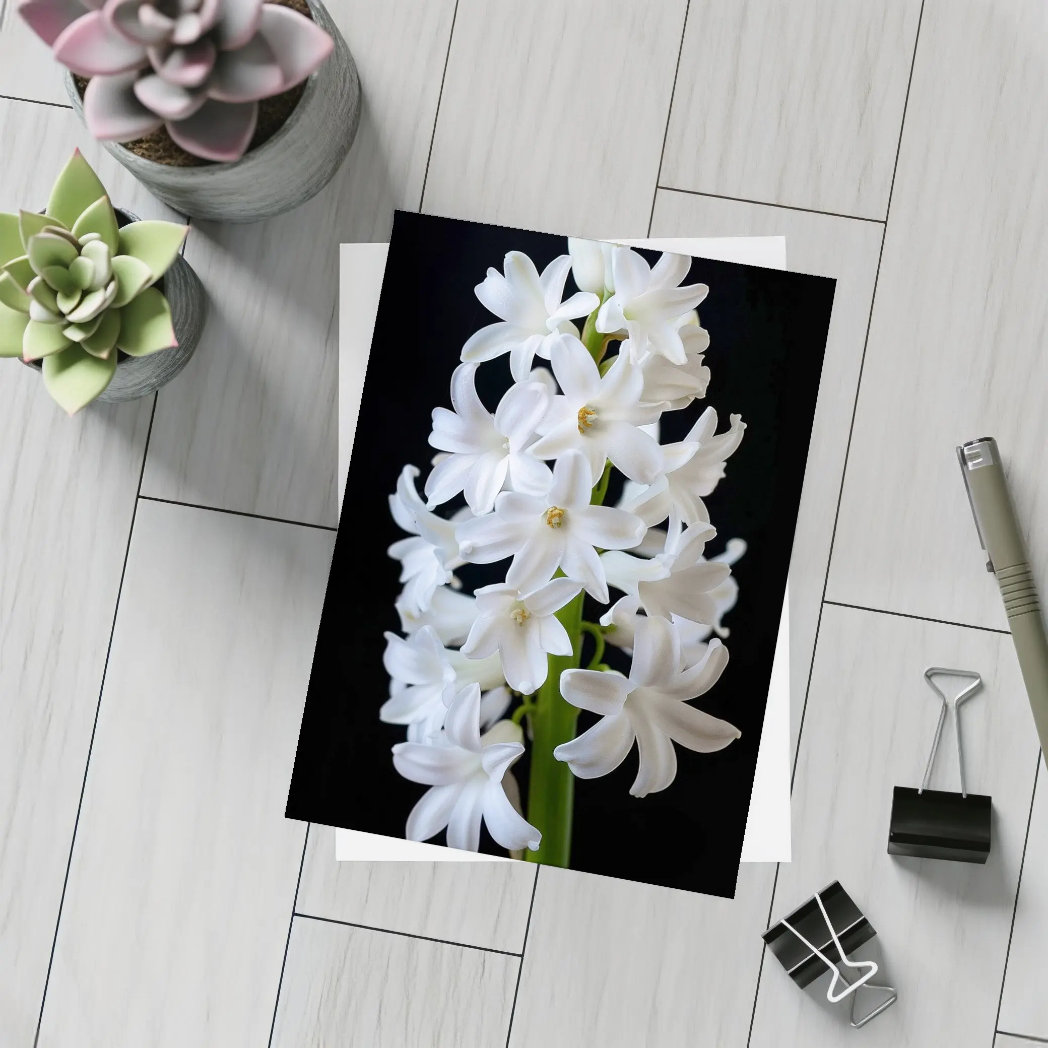 White Hyacinth Flower Black Background – Postcards