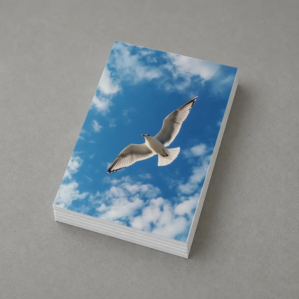 Seagull Flying Against Blue Cloudy Sky – Postcards