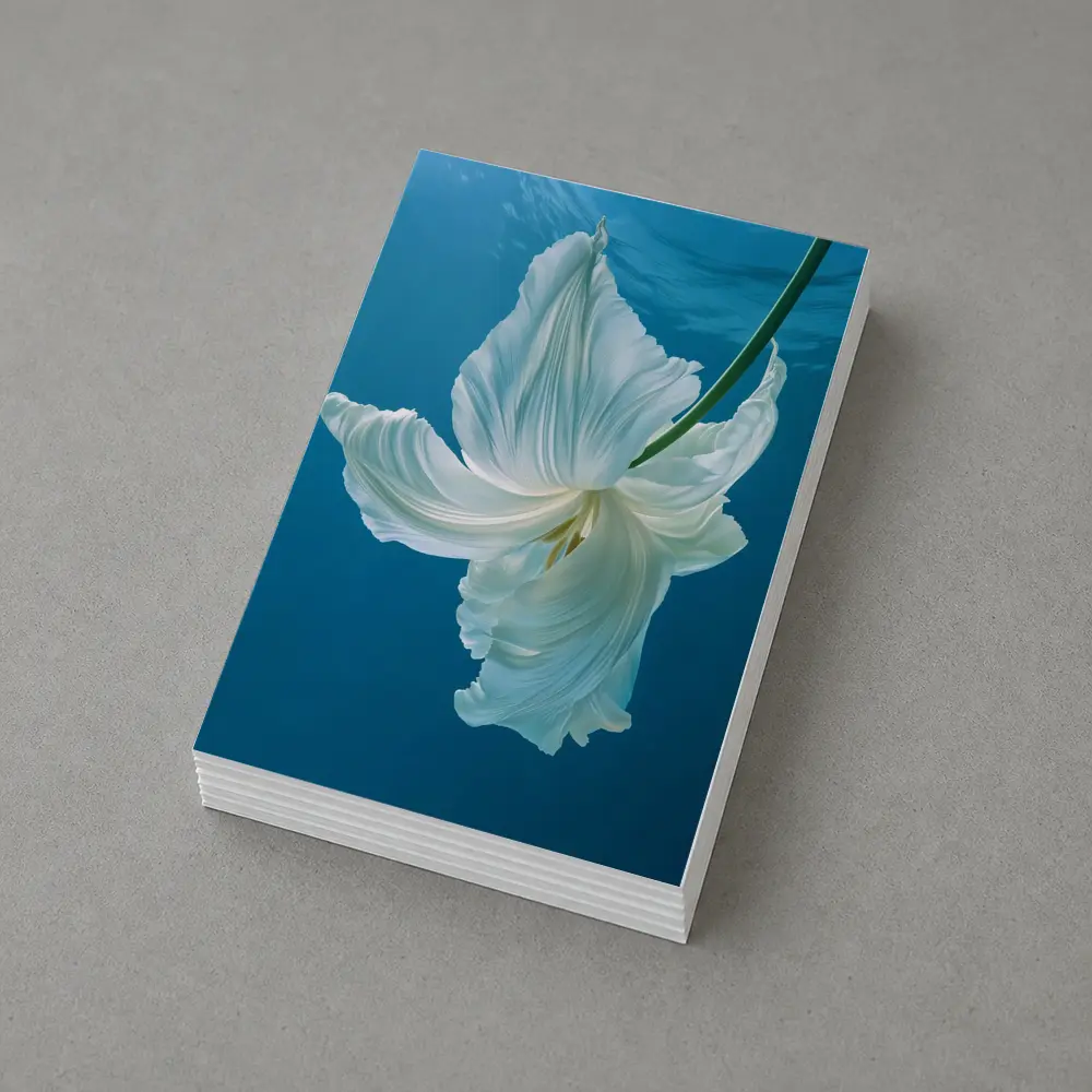 White Tulip Floating Underwater Blue Background – Postcards