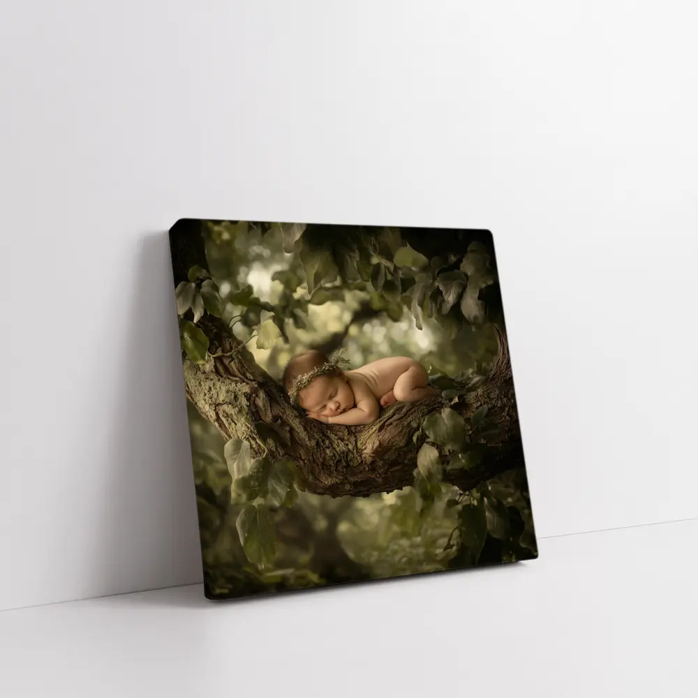 Sleeping Newborn Baby On Forest Tree – Wall Art