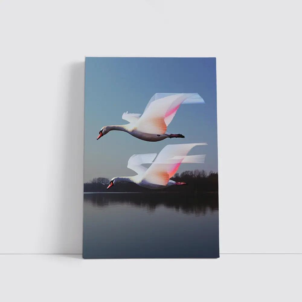 Two Swans Flying Over Calm Lake – Wall Art