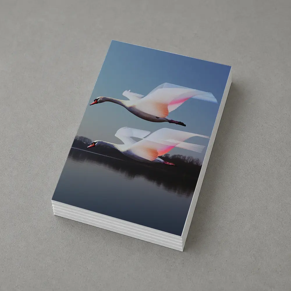 Two Swans Flying Over Calm Lake – Postcards