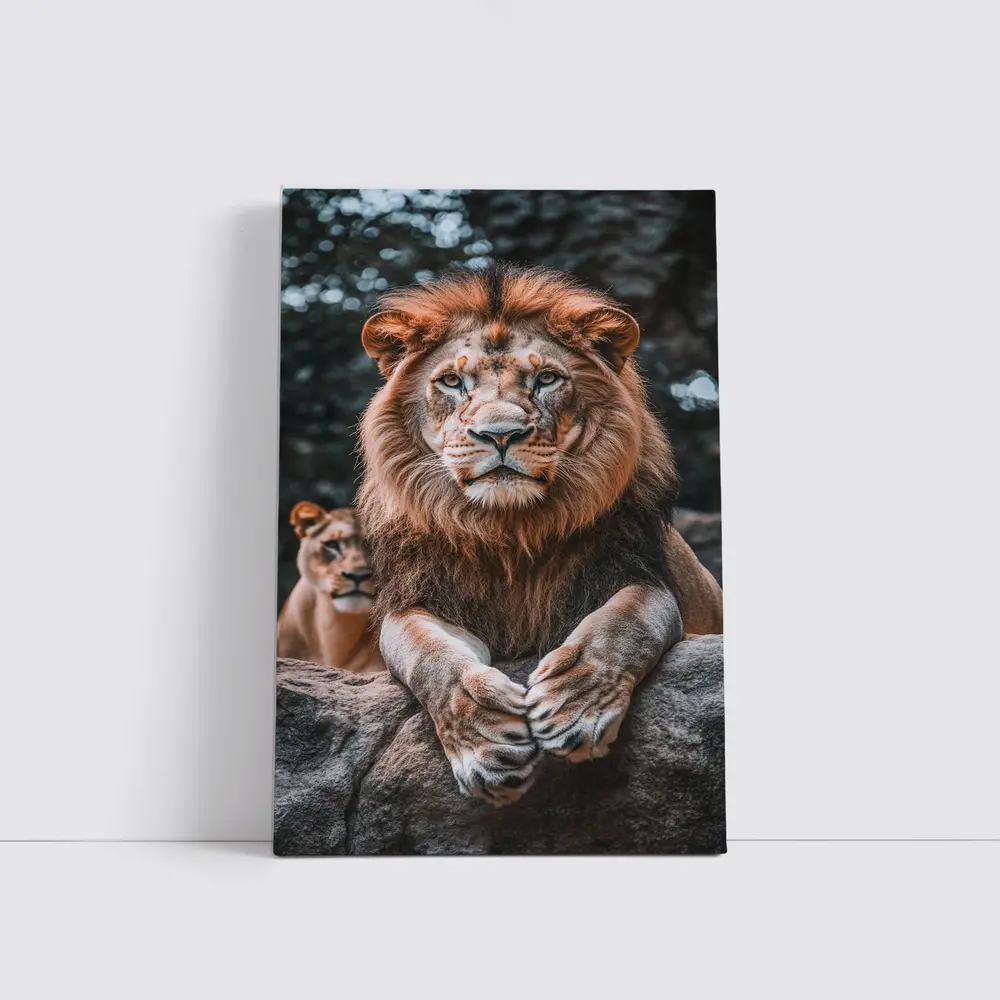 Male Lion Resting On Rocky Surface – Wall Art