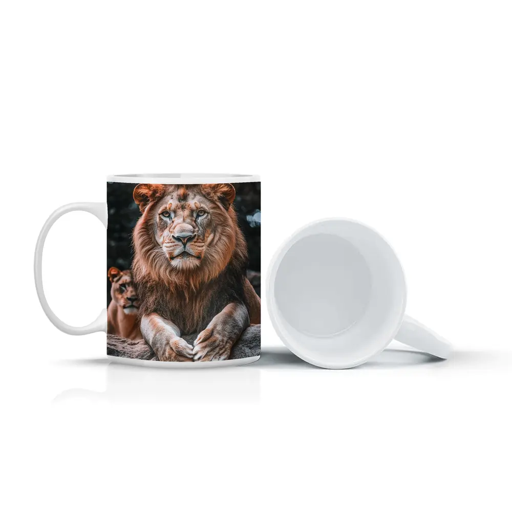 Male Lion Resting On Rocky Surface – Mugs