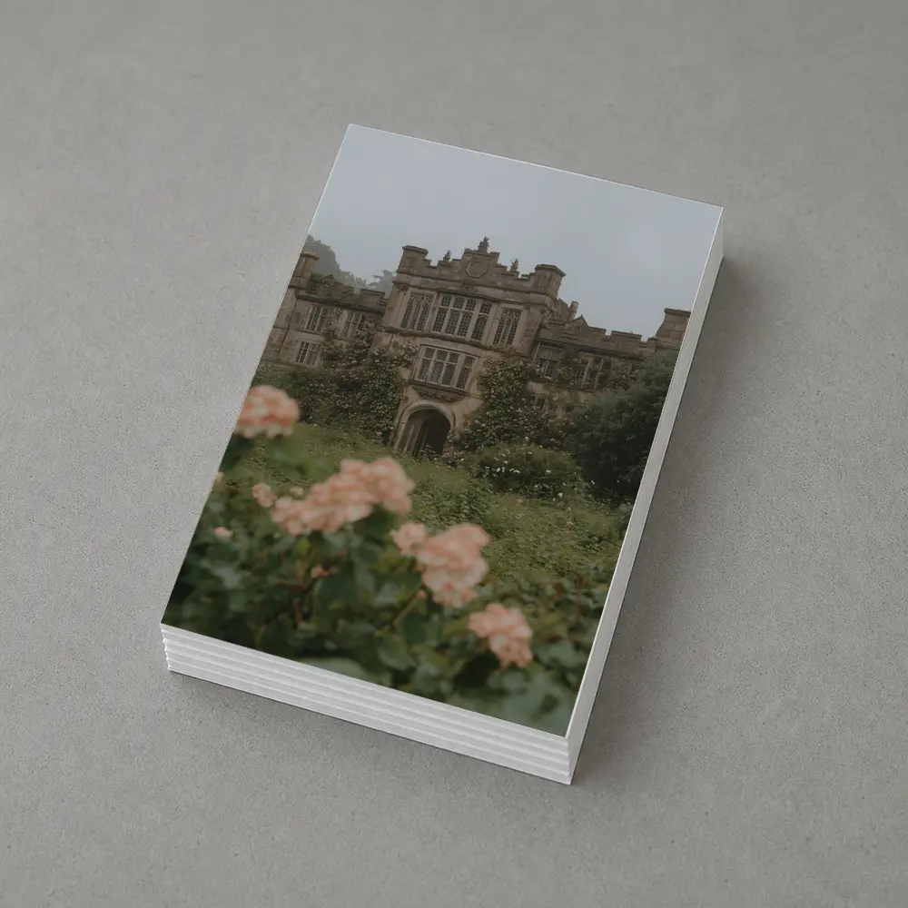 English Manor House Overgrown Rose Garden Fog – Postcards