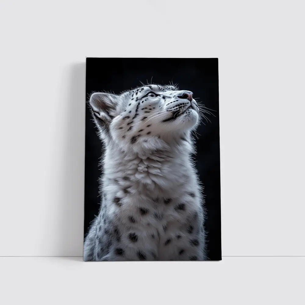 Snow Leopard Cub Looking Up Dark Background – Wall Art