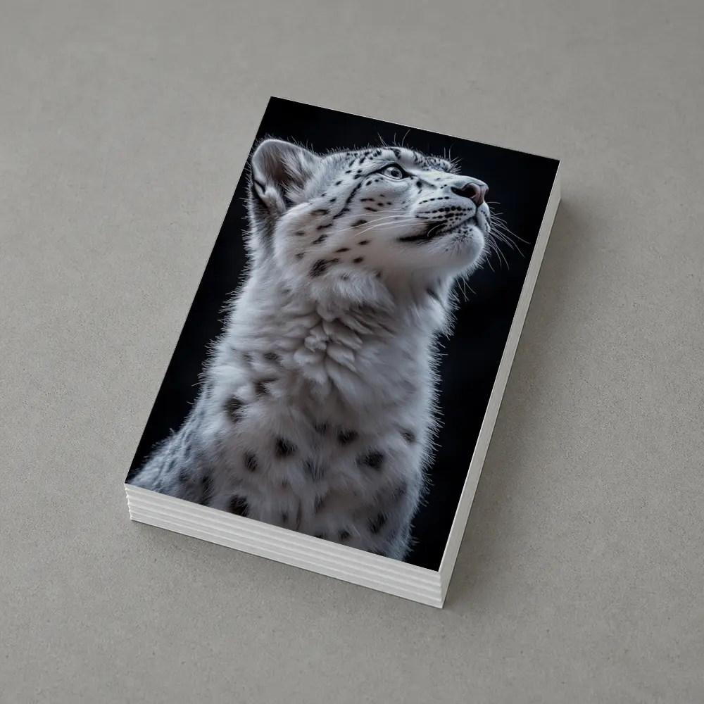 Snow Leopard Cub Looking Up Dark Background – Postcards