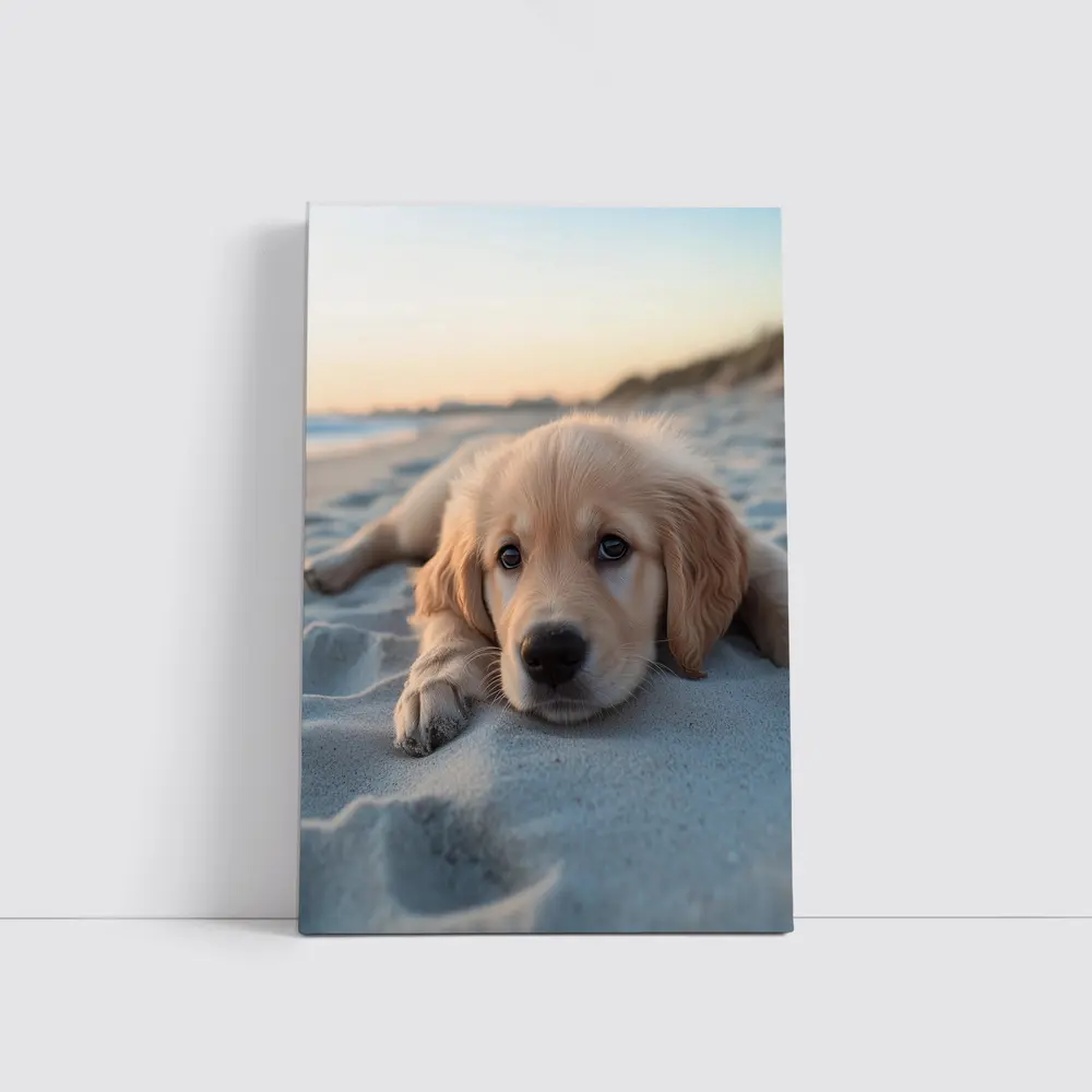 Golden Retriever Puppy Resting On Beach – Wall Art